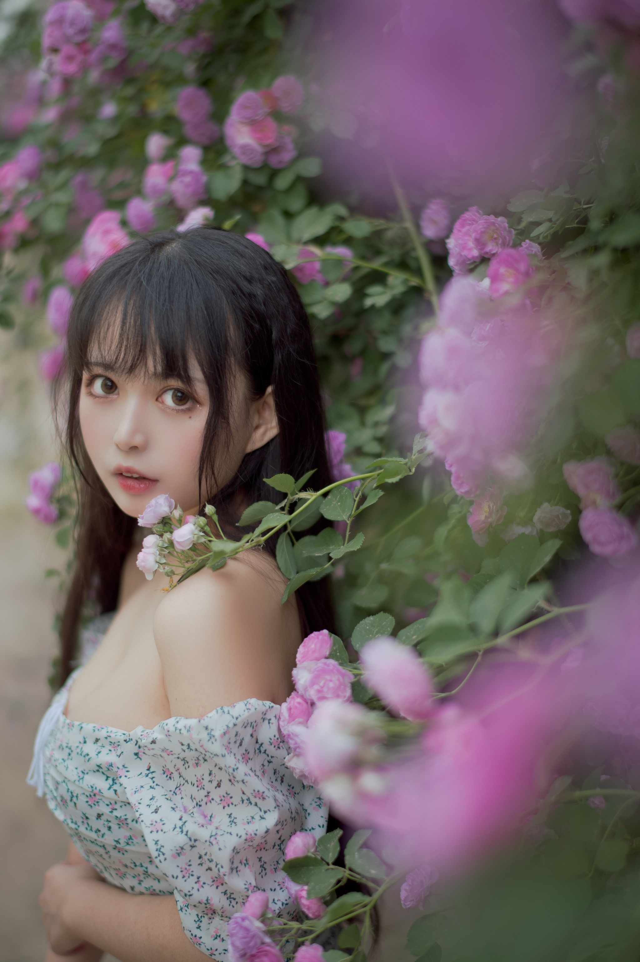 图片[1]-黑猫猫 – NO.022 蔷薇2 [27P]-XikXak